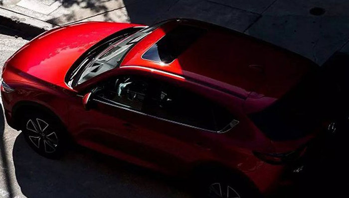 新车速报,车圈观察