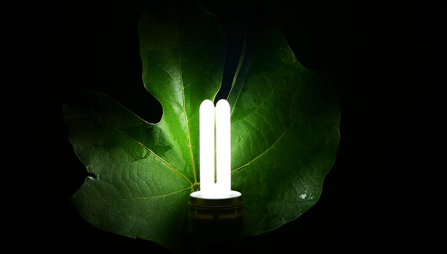 可再生电力生产国