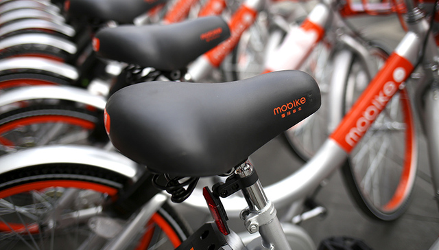 韩正,滨江,骑行,路面标高,刷屏,单车,凤凰牌,徐汇,江景,森林游憩