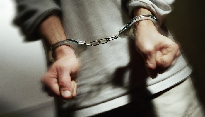 南阳,退休干部,马高潮