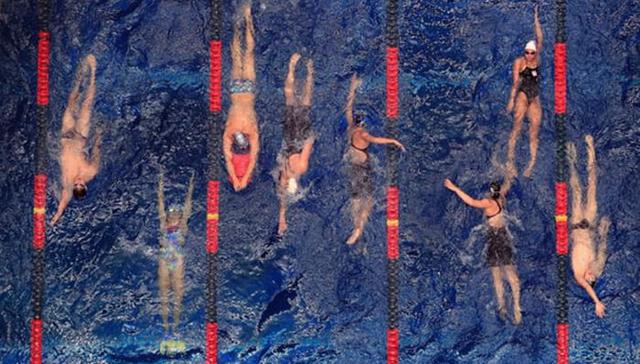 不止是消暑——十本书带你读遍游泳的故事