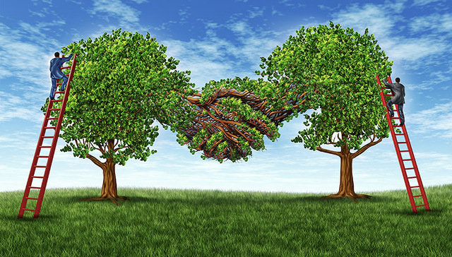 证监会合并主板、创业板发审委 委员增至66名最高连任两届