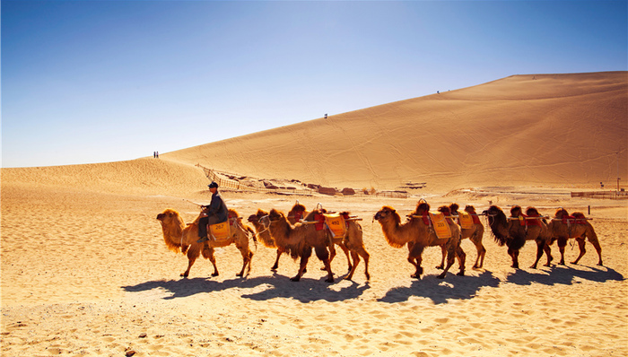 一带一路,习近平