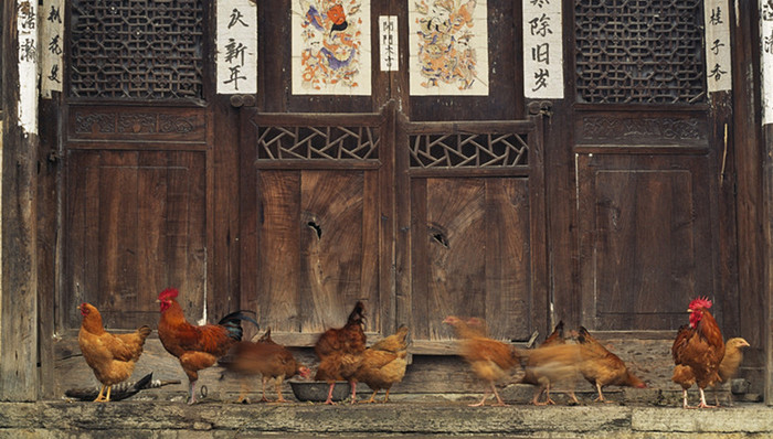 宅基地确权登记,契税