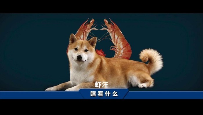 B站,短视频,电影