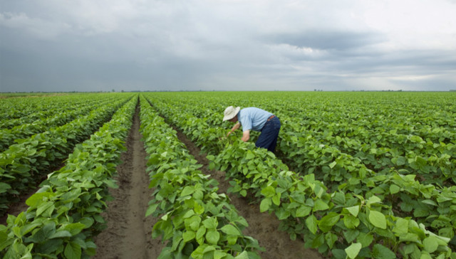 环保部,土壤污染,防治法草案