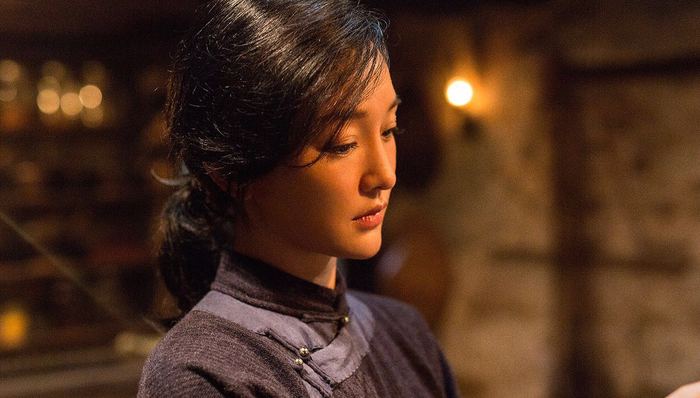 明月几时有,佩里·安德森