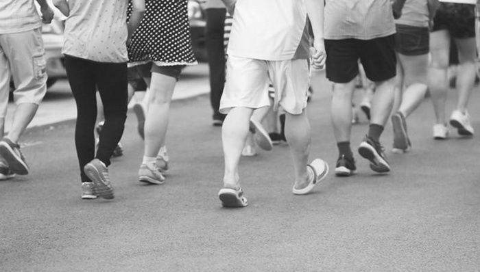 交通事故,热点关注