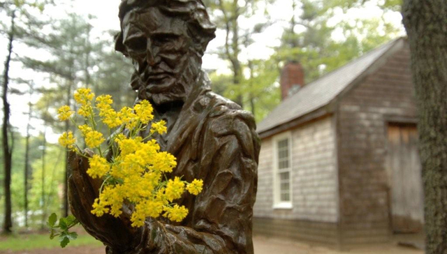 【梭罗诞辰200周年】被误读的梭罗：同代人眼里的异端，后世心中的小资隐者