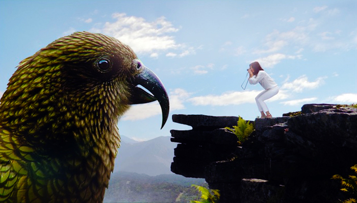 脑洞家,新西兰,航空瞭望