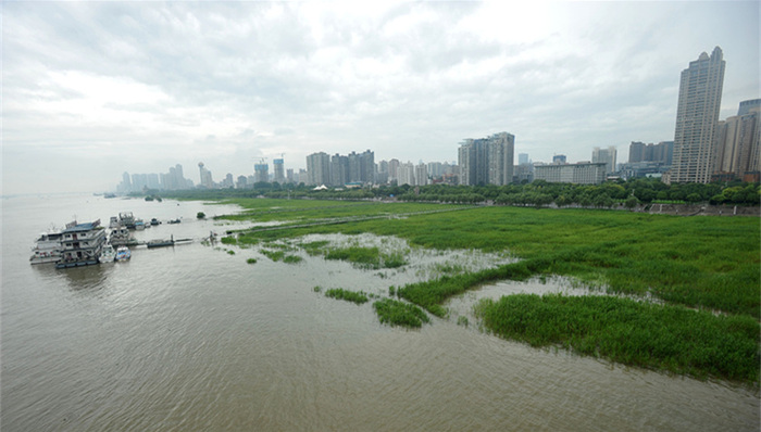 降水量,长江水利委员会,降水过程,鄱阳湖,洞庭湖,区域气候,防汛,长江流域雨情快报,长江流域天气公报
