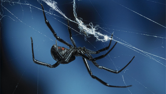 亚洲社会,天下故事