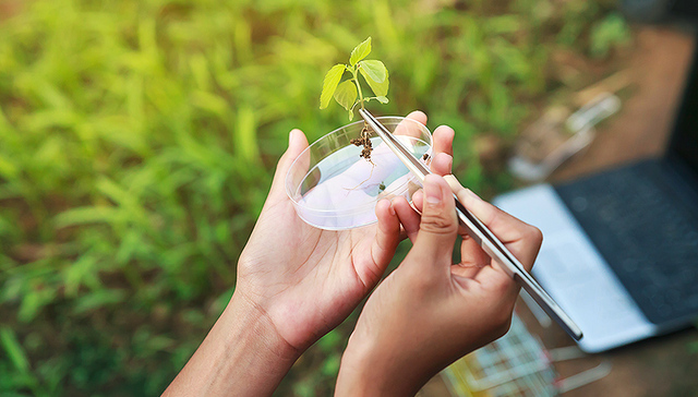 上市公司，四环生物，中报，业绩预告，转型，财报那些事