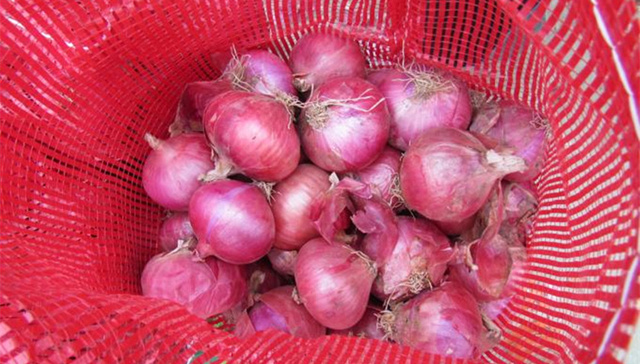 洋葱价格暴跌：一毛一斤没人要 经纪人血本无归
