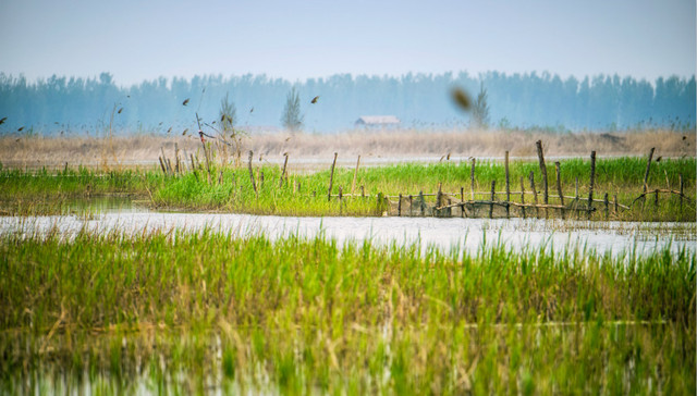 国研中心副主任张军扩：雄安新区给环保产业带来的机遇最大