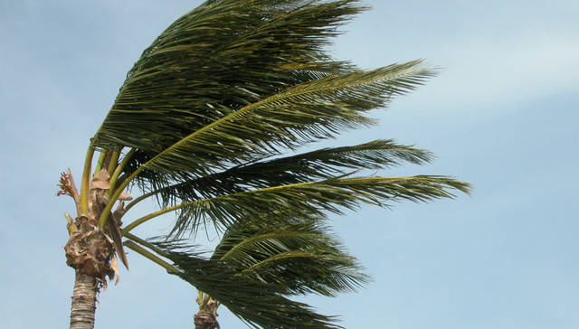 台风“塔拉斯”将从海南岛南部近海擦过   国家防总启动Ⅳ级应急响应