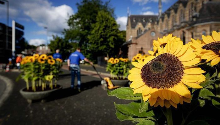 权力游戏,天下故事