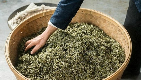白茶