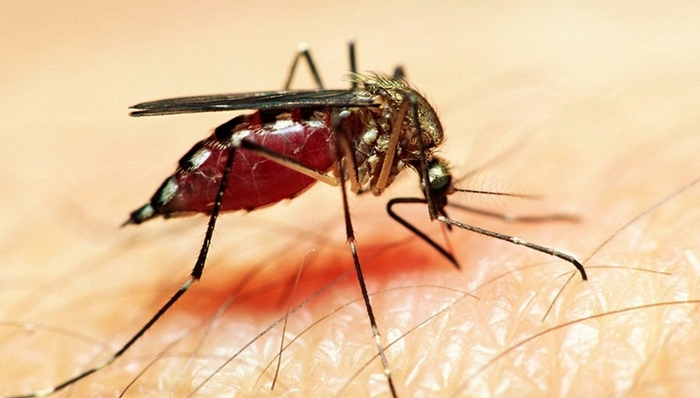 谷歌,惊奇的发现