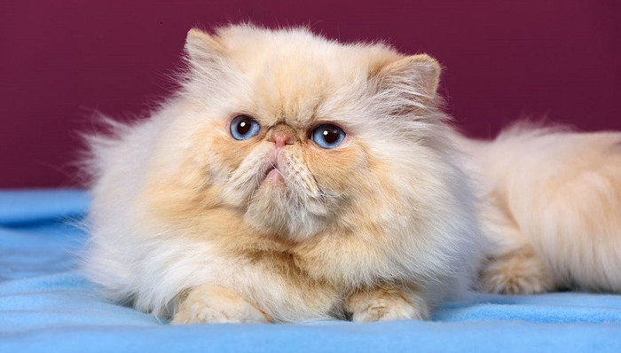 研究报告,惊奇的发现