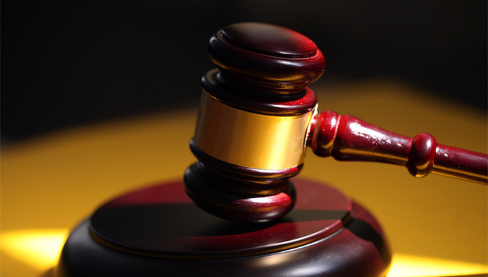 六个核桃,美国被诉,传票