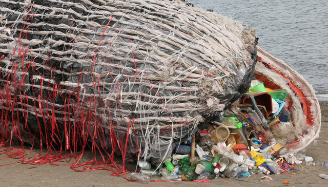 【研究】人类50年内丢弃63亿吨塑料垃圾 上千年都不能降解