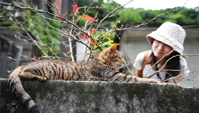 一个真正有特色的小镇 应该讲出一个好故事