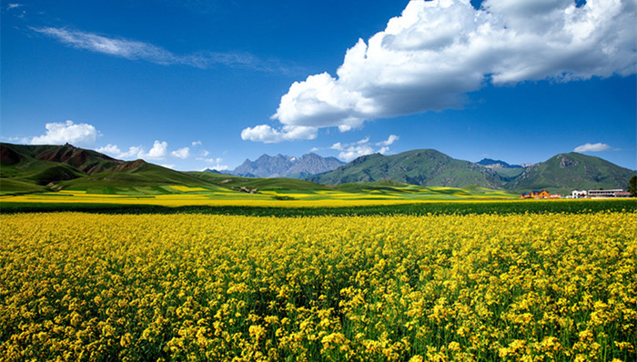 生态文明,生态安全,甘肃祁连山国家级自然保护区,生态环境损害,生态环境保护,生态问题,生态破坏,绿色