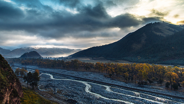 甘肃祁连山国家级自然保护区,生态环境问题,生态行为,党中央,甘肃省委,偷排,中共中央办公厅,人大常委