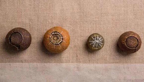 小青柑、二红柑、大红柑究竟有什么区别？