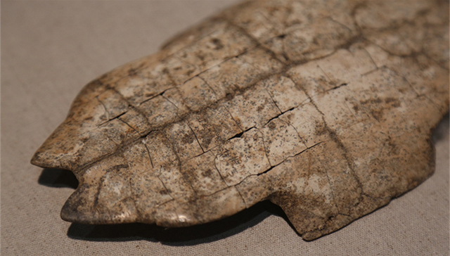 甲骨文,中国文字博物馆