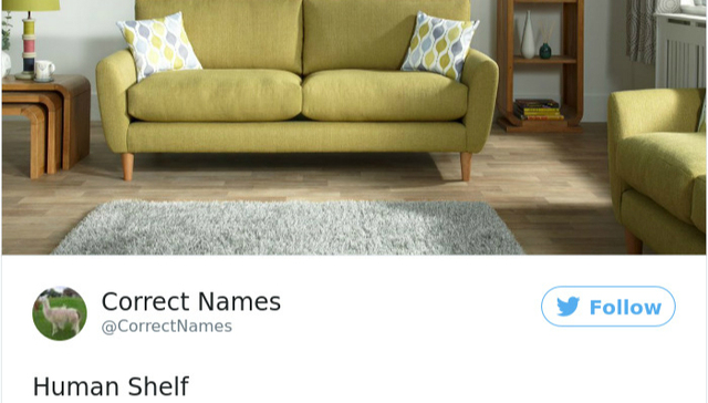 熊猫鱼到底是不是鱼？