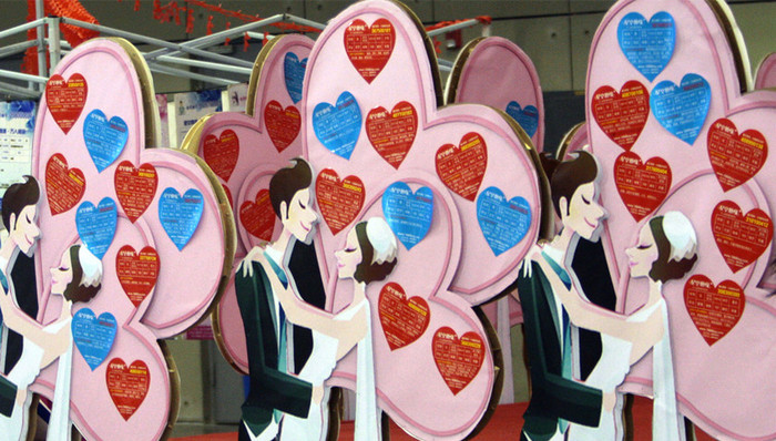 征婚交友,行骗,犯罪团伙,