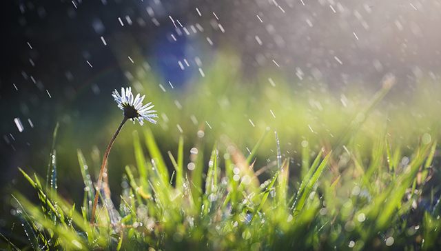 高温天气,人工降雨,气象局