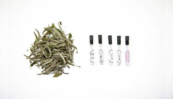 世界大牌茶香水里真的有茶吗？——《白茶篇》