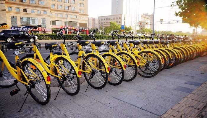 11岁,男孩,共享单车,ofo,担责