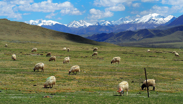 祁连山,国家级自然保护区,管理条例