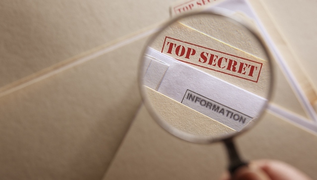 瑞典,资料,外泄