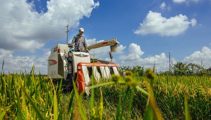 农村集体总资产,上海人大,立法,完善,监管条例