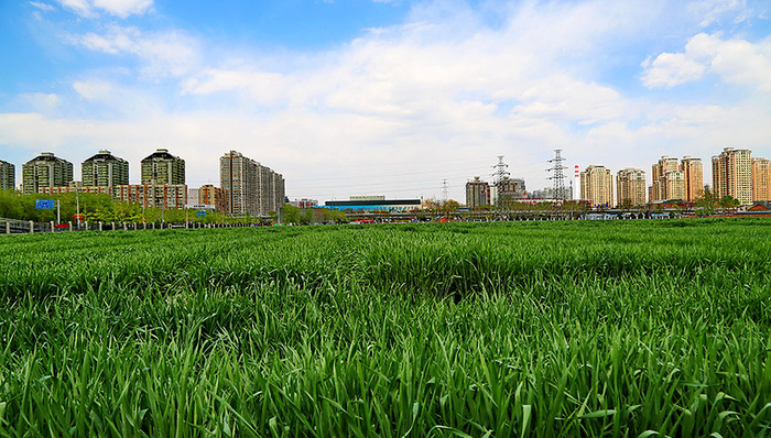 保利地产,地产商