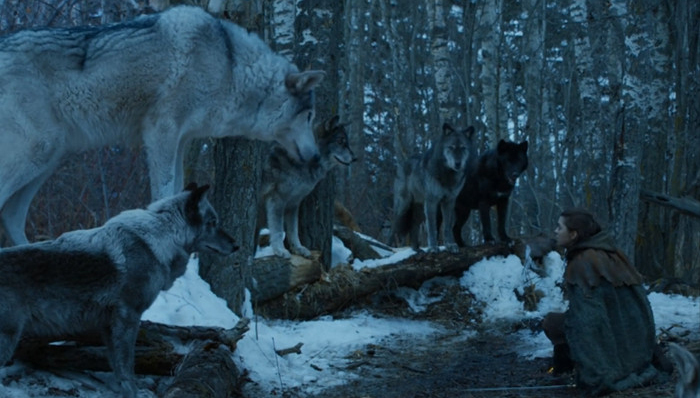 艾莉亚·史塔克能顺利回家吗？《权利的游戏》制作人有话说