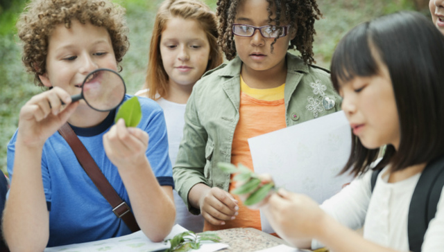 人民日报整版谈出境游学：只游不学真急人
