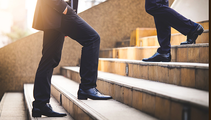 美尔雅,上市公司,中植系