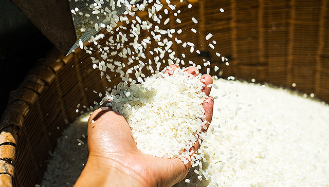 米农,大米市场,日媒,扩大出口,中国出口,日本经济新闻,选举,跨太平洋伙伴关系协定,薰蒸,精米