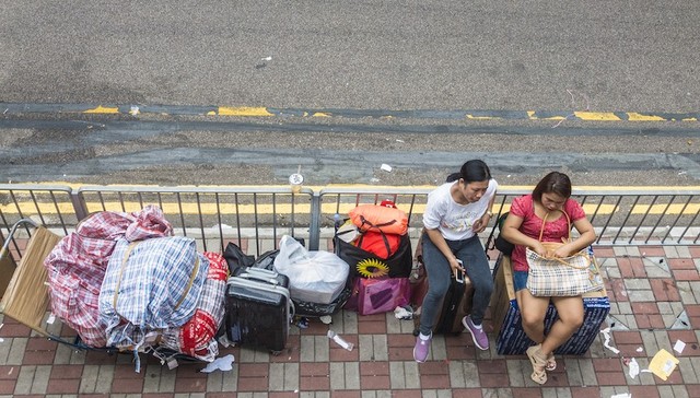 北京,上海,菲佣,律师,三证,劳动法