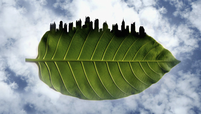 中央环保督察,环境违法,地方政府