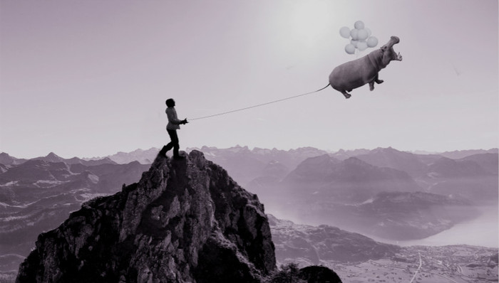 灰犀牛,金融市场,风险