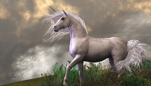 独角兽,创业公司,估值,市值,HomeAway,公司上市,Apron,数字广告,IPO,公开市场