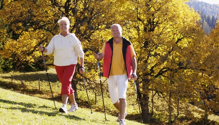 研究报告,惊奇的发现