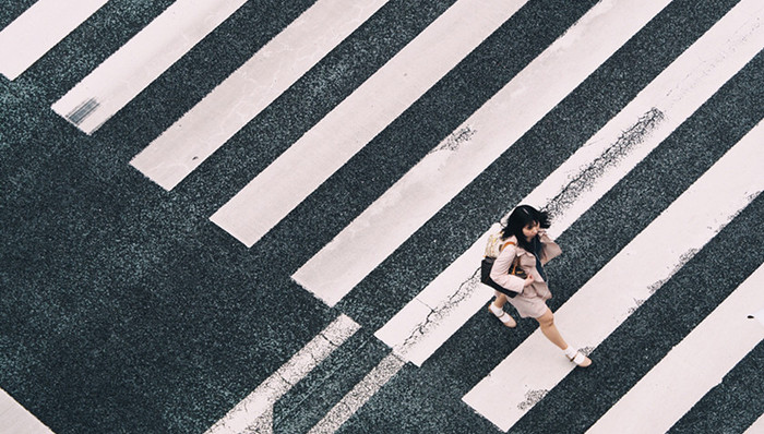 斑马线,信号灯,低头族,红豆杉,狂犬病疫苗,西安卫计委,银川干部,因公殉职